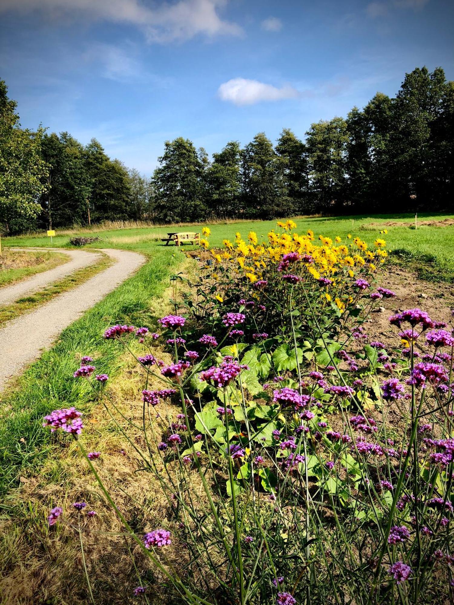 Marsbaecken Vandrerhjem Västervik Eksteriør bilde